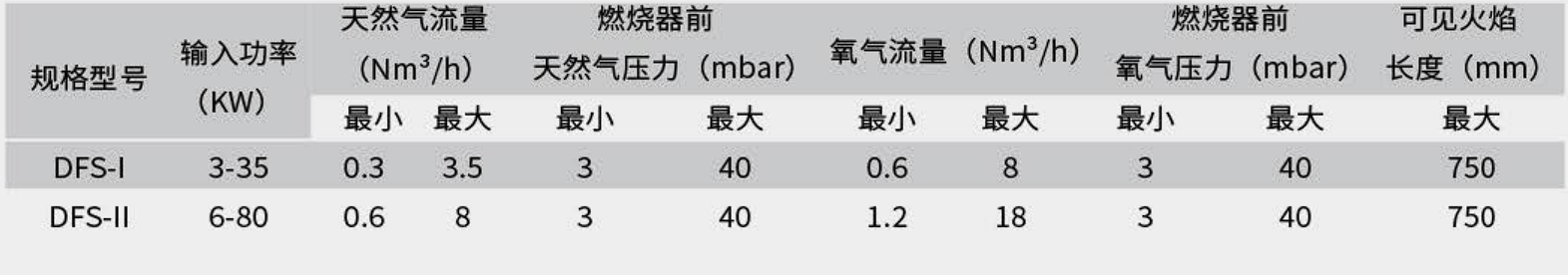 DFS系列柔焰扁平燃烧器